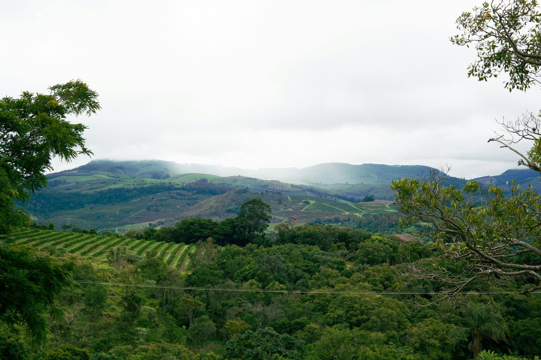 Honduras Next Generation Auction 2026