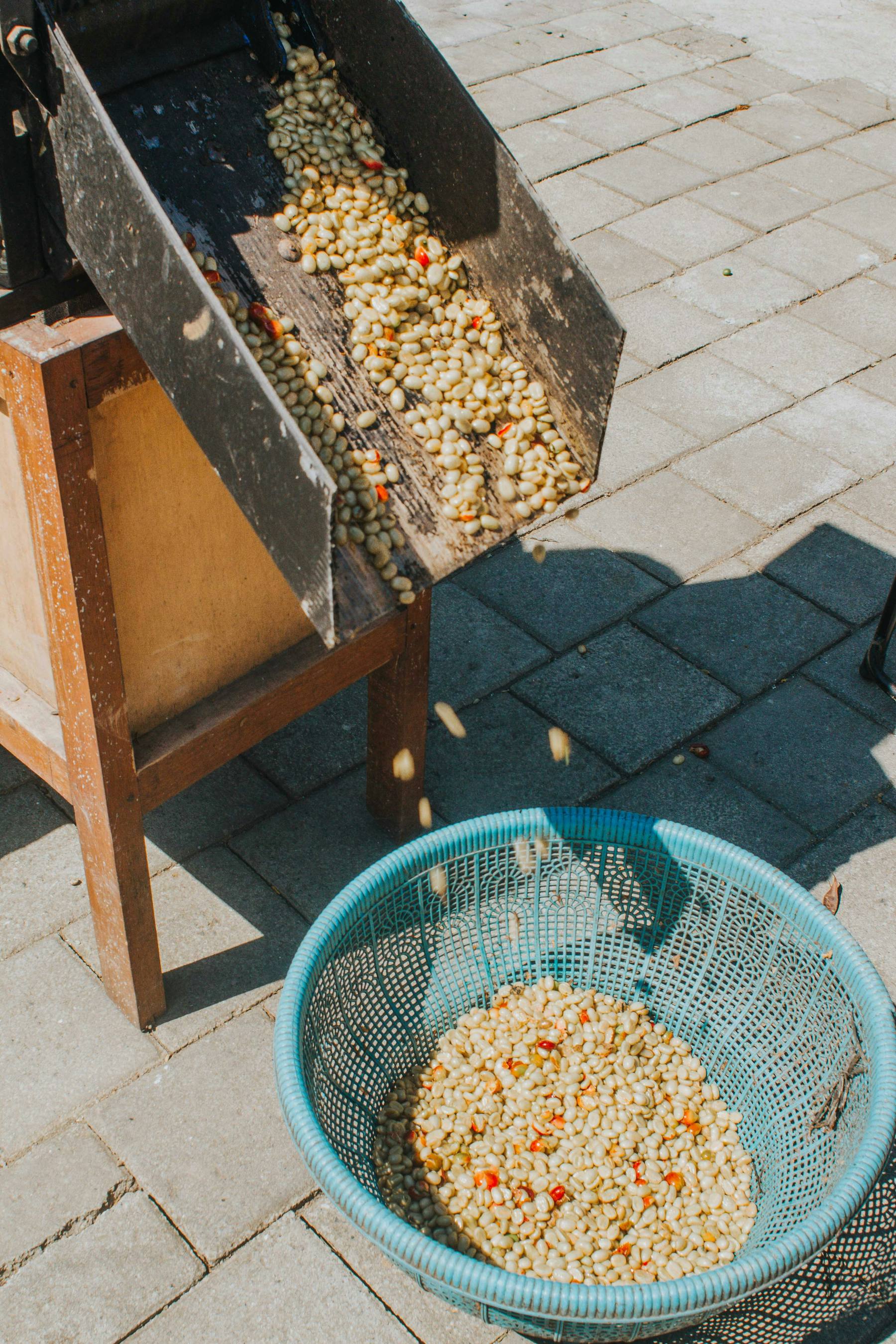 Mill · drying